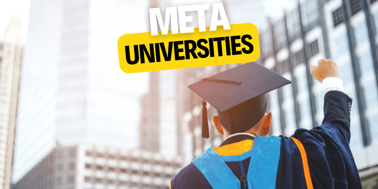 Meta universities