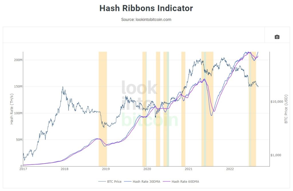 hash ribbons indicator bitcoin 2022