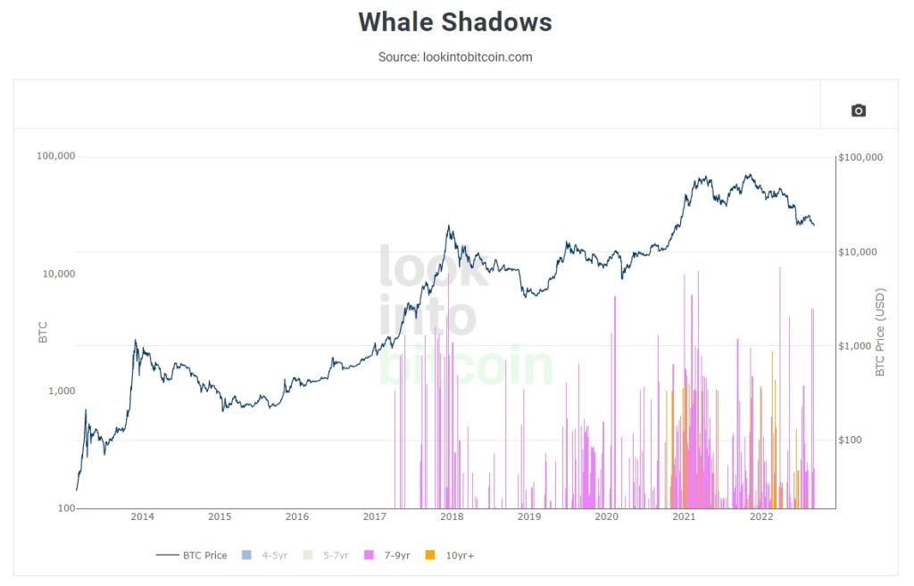 whale shadows bitcoin