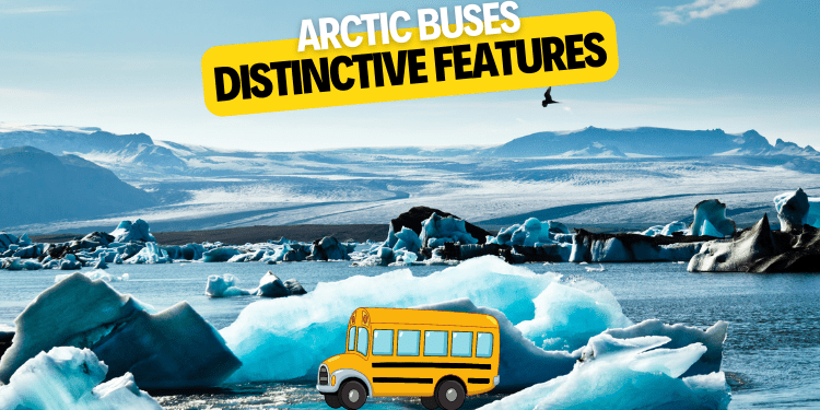 Arctic Buses Distinctive Features