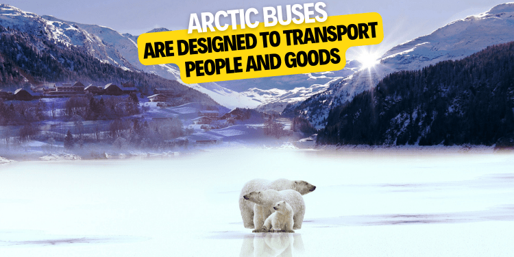 Arctic buses are designed to transport people and goods