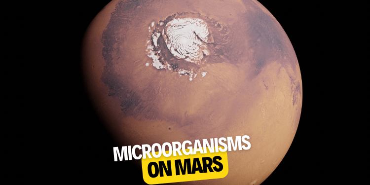 Microorganisms on Mars