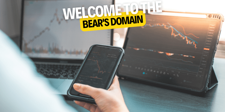 Welcome to the bear's domain