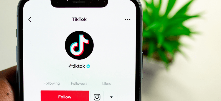 TikTok Platform