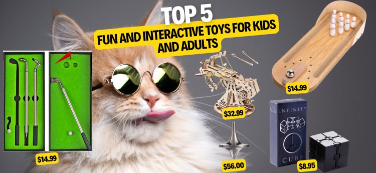 Top 5 Fun and Interactive Toys for Kids and Adults